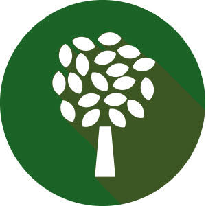 Träd icon